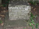 image of grave number 82094